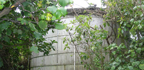 The original Timbertank at the West Coast beach property in Piha.